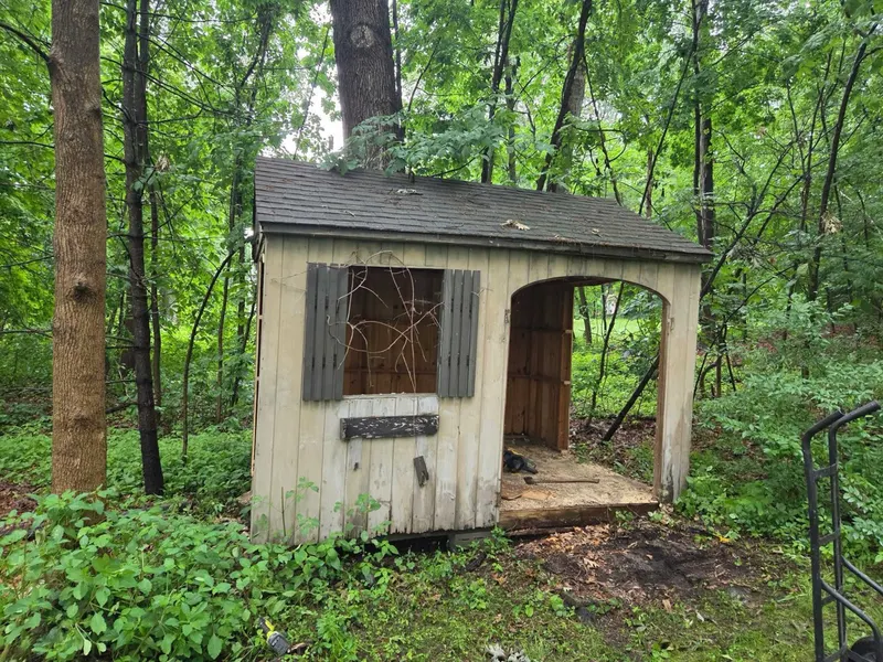 An old shed in the woods before demolition and removal